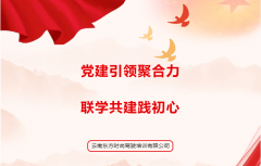 党建引领聚合力·联学共建践初心